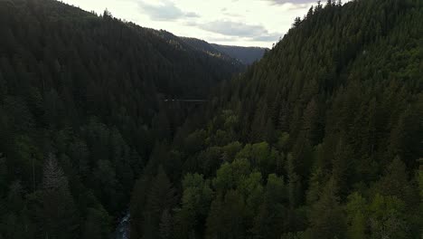 nature aerial scenic shot in valley of evergreen forest and river with bridge in carbonado, washington state