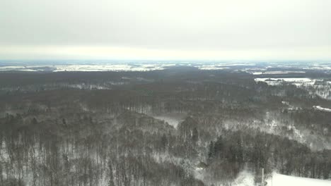 Evergreen-trees-in-a-winter-climate,-drone-view