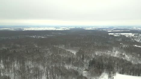 evergreen trees in a winter climate, drone view