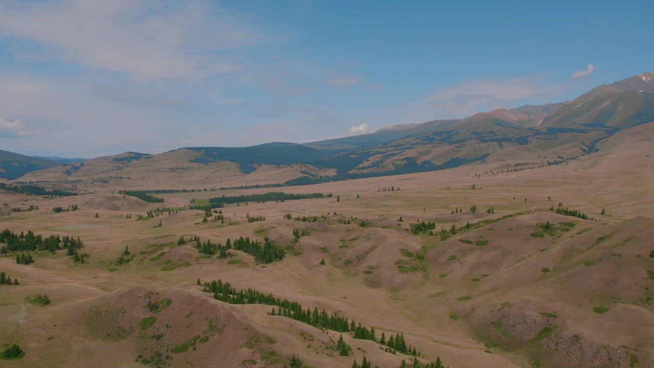 Brede luftoptagelser af Kurai-steppen med bølgende bakker, spredte skovområder og fjerne bjergrygge under en klar sommerhimmel, Republikken Altai, Rusland