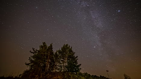 pinos de árboles en la cima de la montaña con estrellas en movimiento en el cielo estrellado por la noche