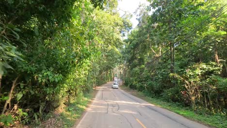 cars traveling on a winding road surrounded by trees