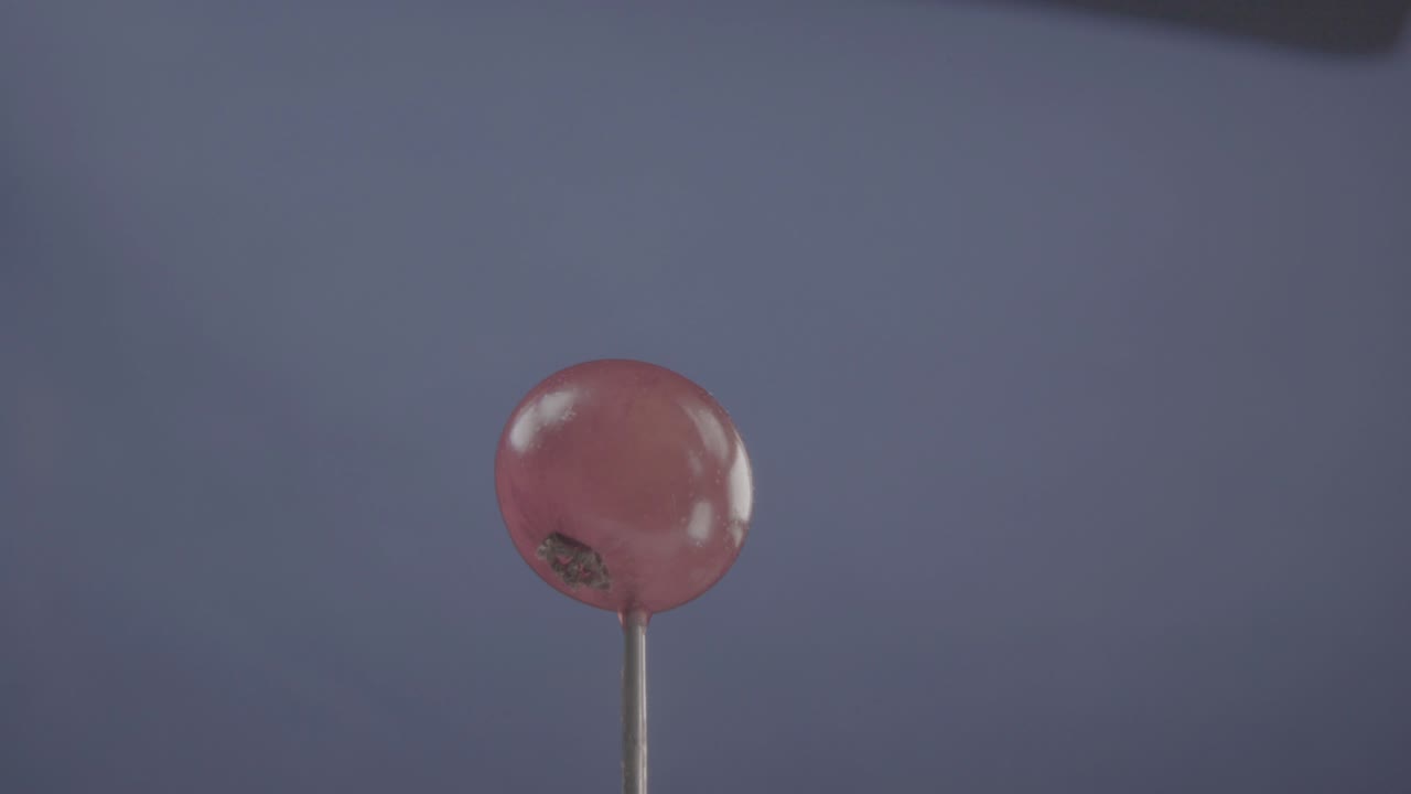 크로마 키를 위한 푸키아 스크린에 루프로 회전하는 은 크로란트