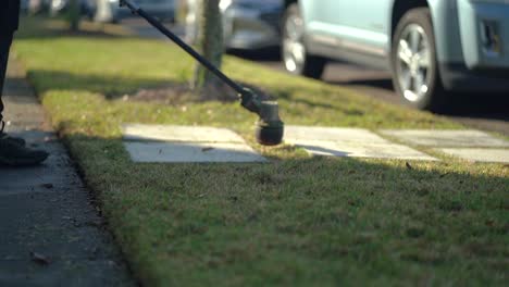 worker trimming grass edge with lawn care equipment