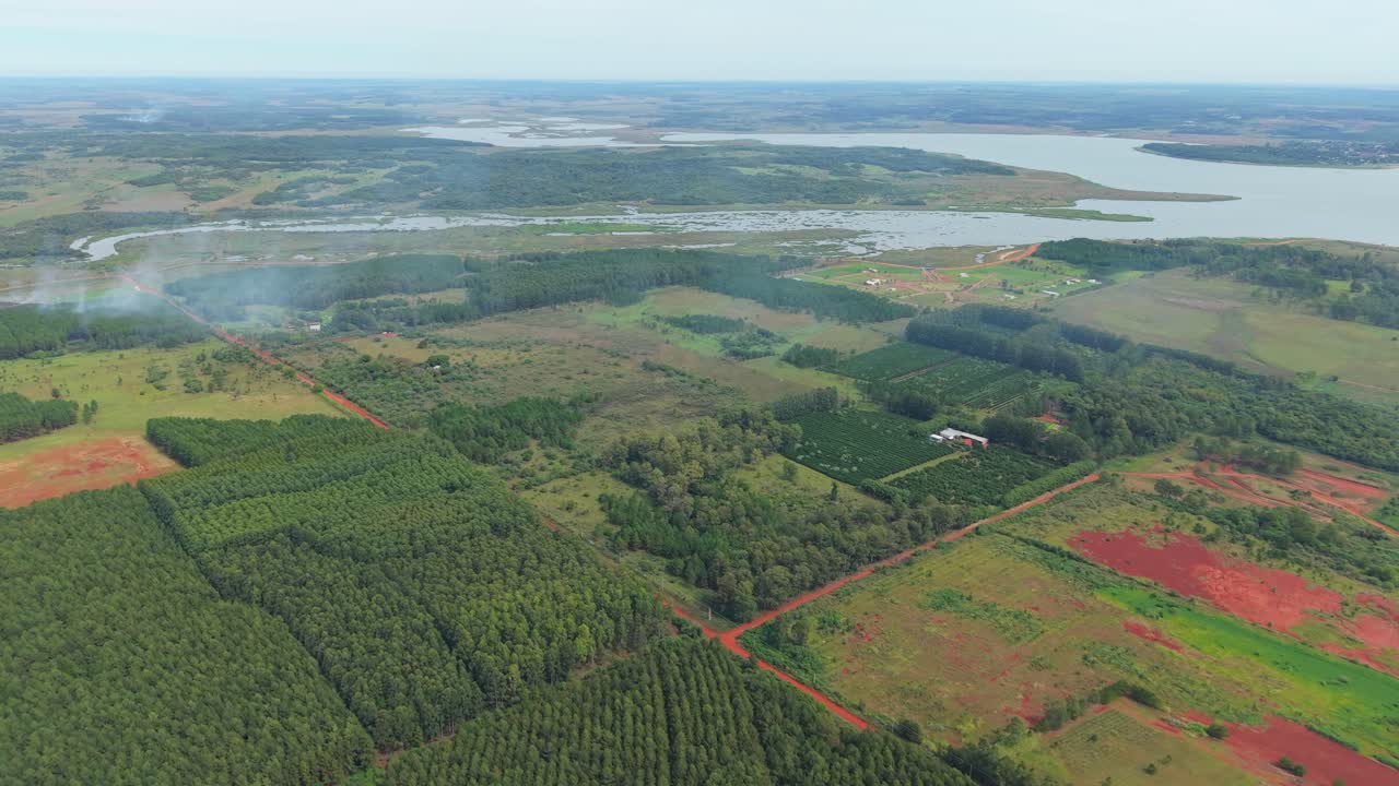 Aerial view of a reforestation area along the banks of the Paraná River in Argentina.