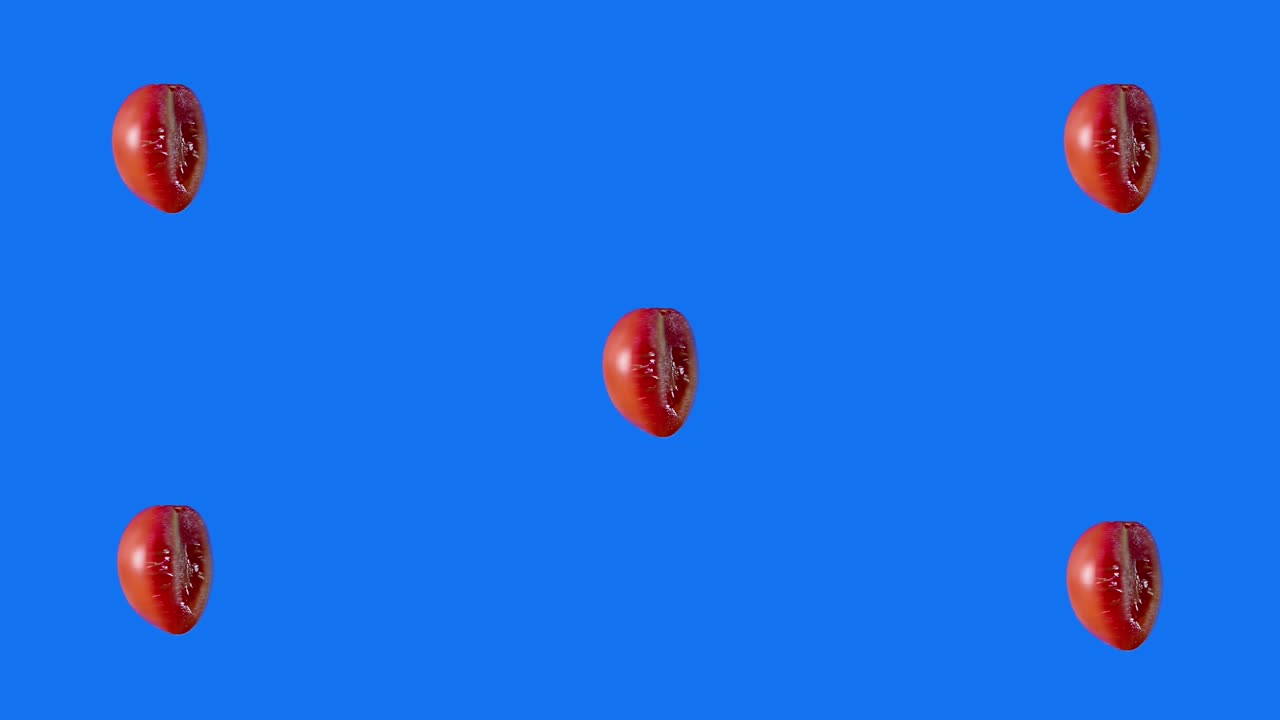 반으로 잘라진 체리 토마토를 루프 모션으로