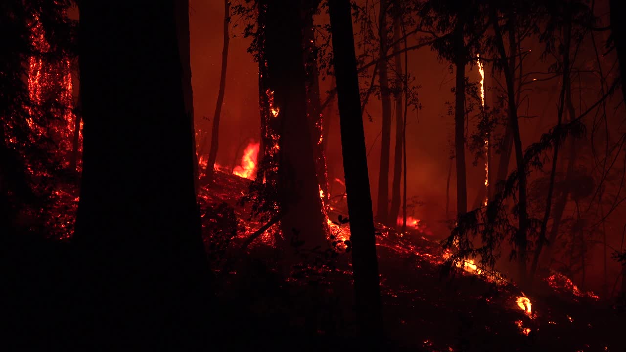 Incendio boschivo notturno che brucia durante un incendio complesso da fulmini nelle montagne di Santa Cruz, California