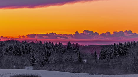 toma de piso de flores cubierto de nieve en un día nublado con movimiento de nubes oscuras sobre el cielo amarillo en timelapse