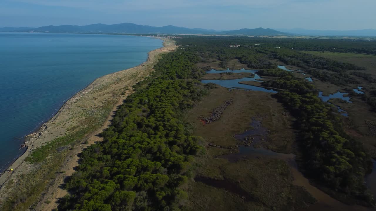 Riprese aeree panoramiche cinematografiche della natura, con savana e laguna nella pineta, su una spiaggia sabbiosa e deserta al mare nell'iconico Parco Nazionale della Maremma in Toscana, Italia, vicino a Grosseto.
