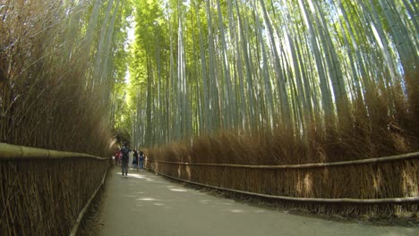 la luz del sol atravesando las hojas en el bosque de bambú al mediodía con un mínimo de turistas en el fondo en kyoto, japón cámara lenta 4k