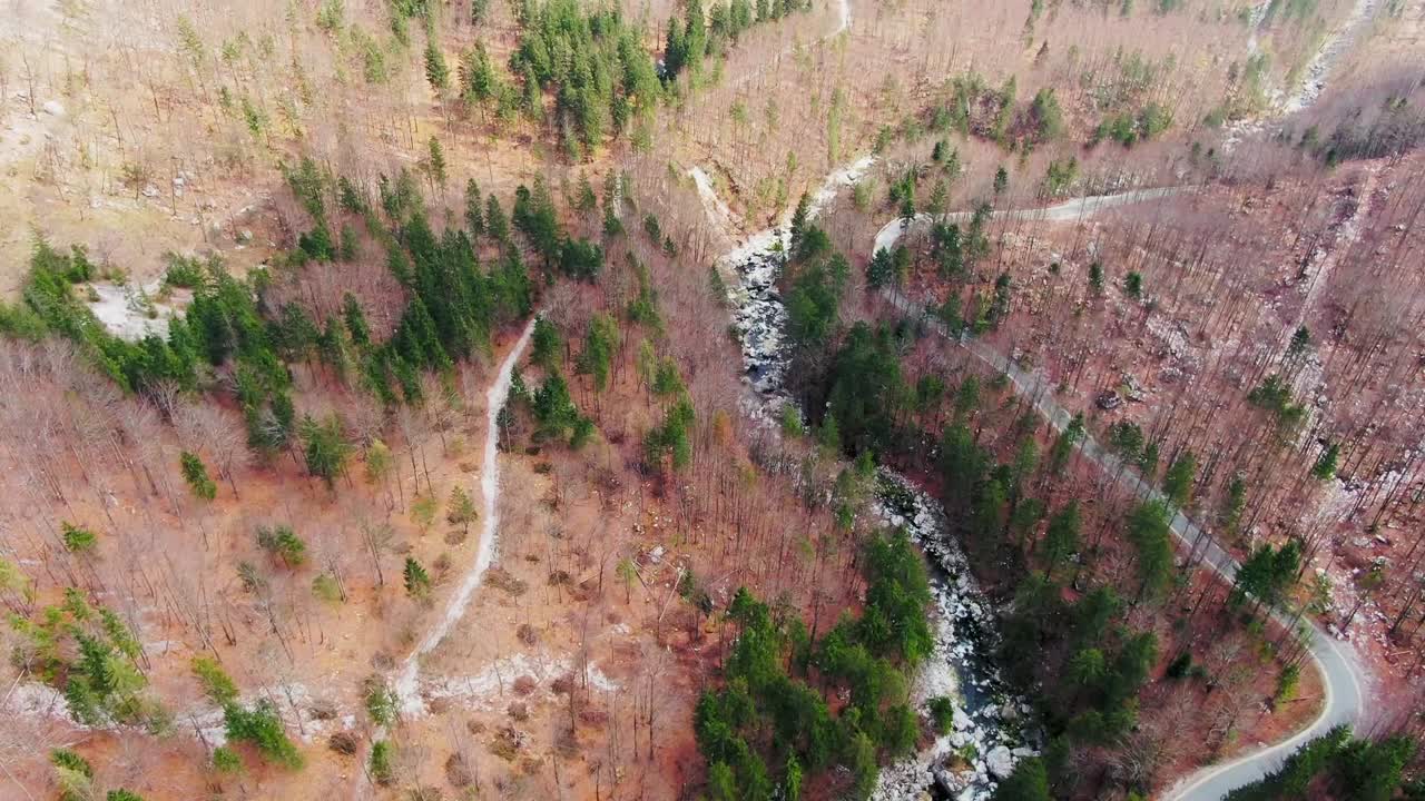 Depths of forest Julijske Alps Triglav National Park Bohinj aerial reveal