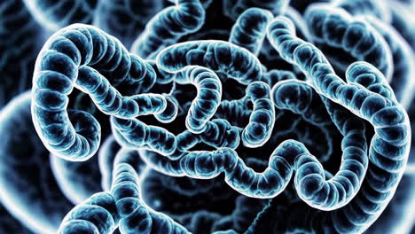 abstract microscopic view of biological organisms