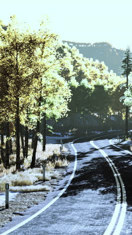 scenic winding road through a forest in autumn/winter