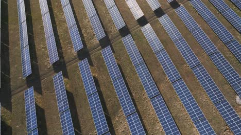 extensive solar panels in a large solar farm during daytime, vast renewable energy source, aerial view