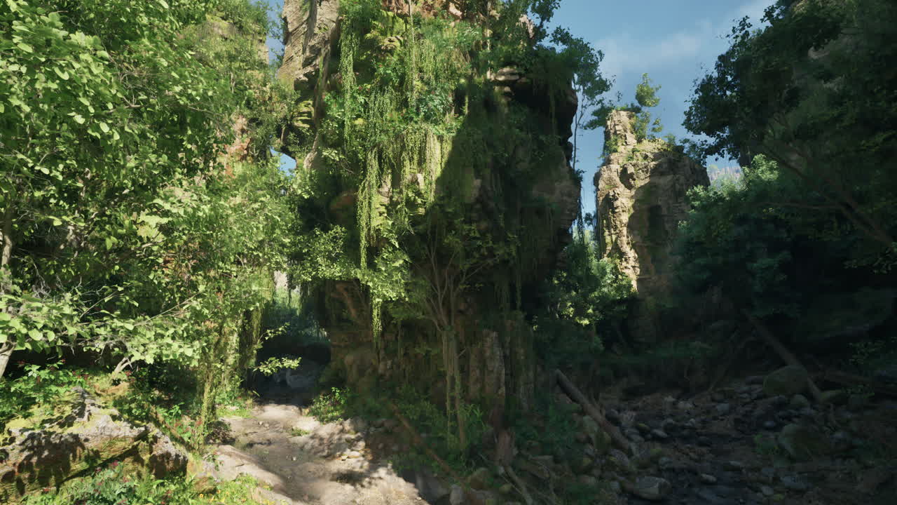 el camino de la selva verde y exuberante