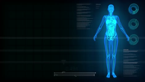 healthcare seamless looping background with x-ray human body and digital text effects for overlay or backdrop use with place for yor objects - 4k 60fps uhd 3d animation
