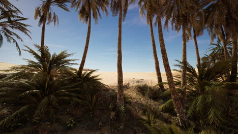 paisaje de oasis con palmeras