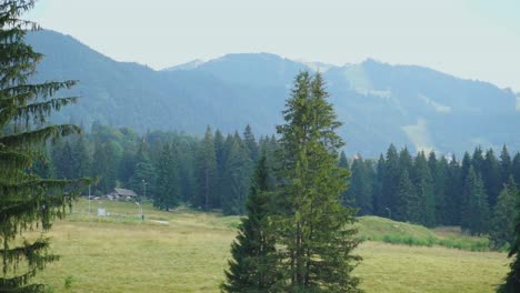 Naturansicht-Von-Poiana-Brasov-In-Rumänien