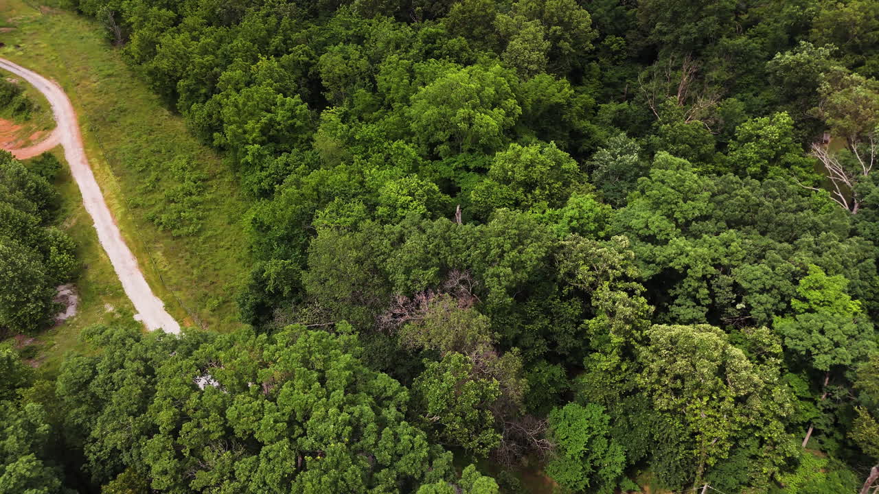 View from Above Of Winding Dirt Road And Dense Green Forest Near Siloam Springs In Arkansas, USA. aerial pullback shot