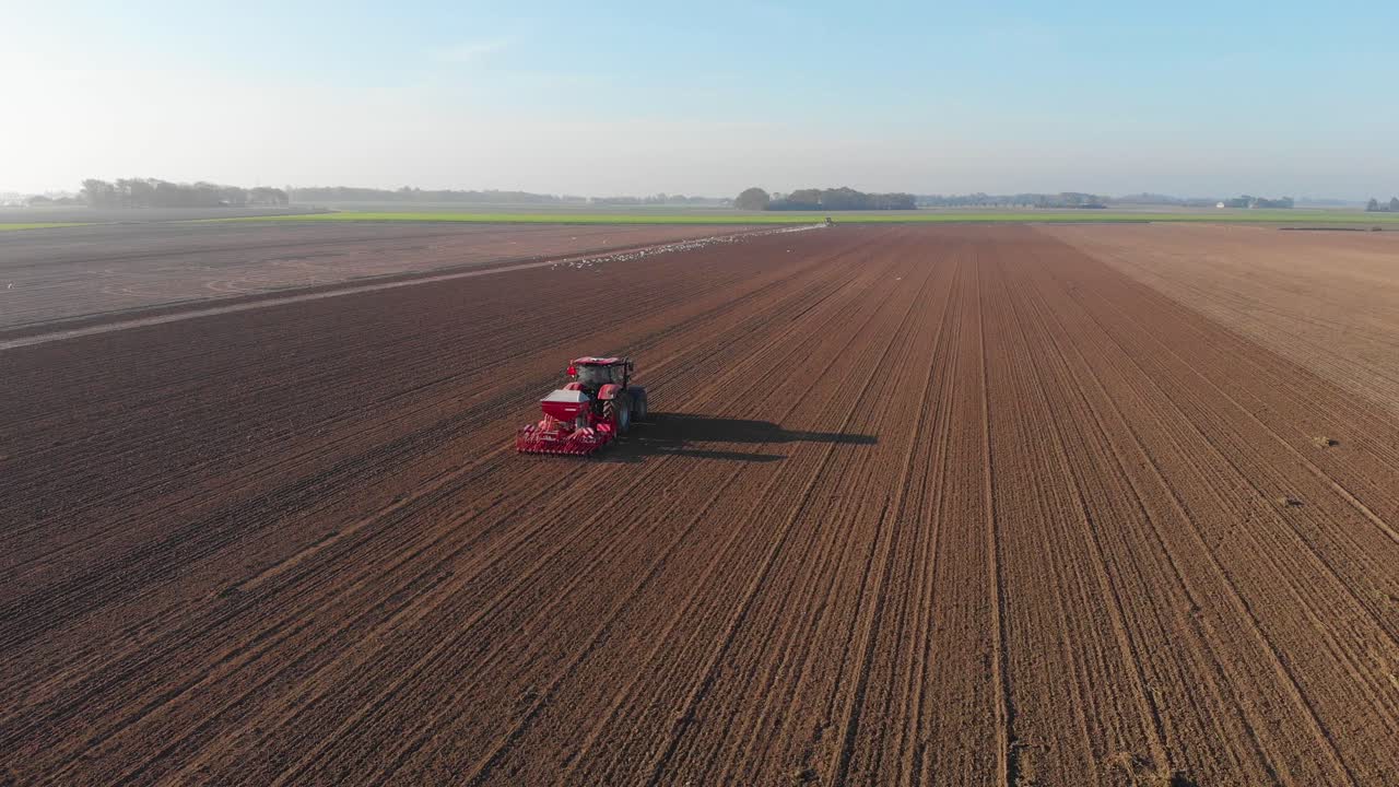 Drone shot of red tractor plowing brown, earthy, dutch farmland in vertical lines