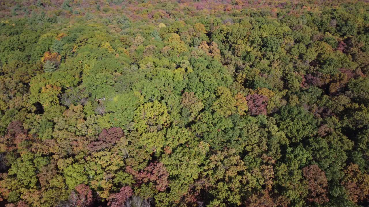 cambio de color del otoño en Ontario, Canadá