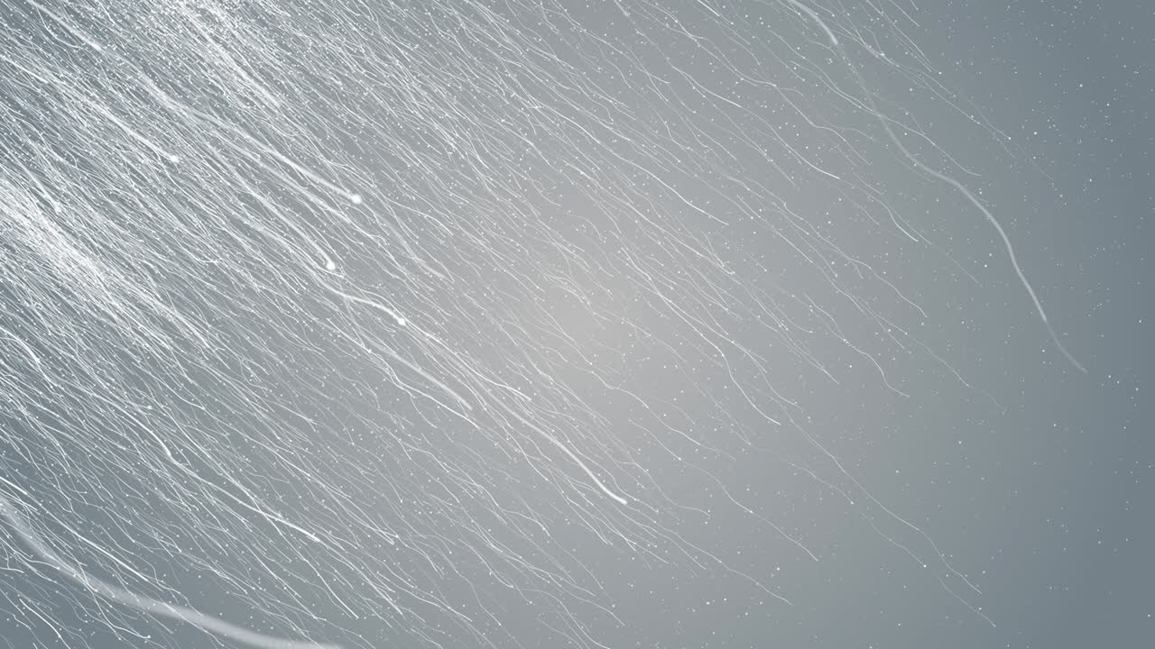 입자 색 비즈니스 밝은 반이는 보케 먼지 추상적인 배경 루프