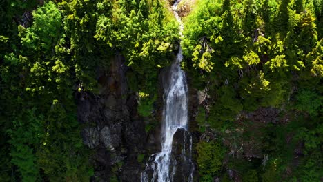 majestic aerial shot of a waterfall cascading down the cliff side in the evergreen forest. pacific northwest, washington state.