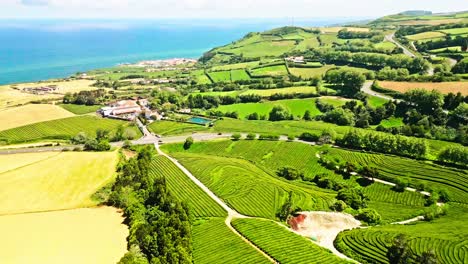 Cha-gorreana-tea-plantation-and-surrounding-landscape-in-azores,-portugal,-aerial-view