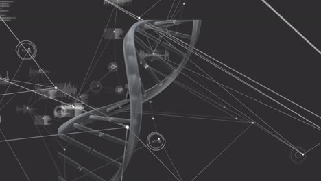 animación de la cadena de adn a través de una red de conexiones y procesamiento de datos sobre fondo negro