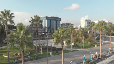 sea boulevard with palmtrees - aerial view