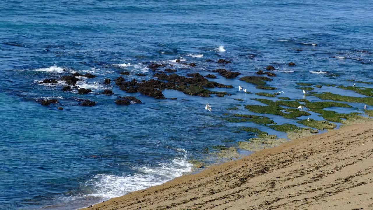 Coastal View with Rocks, Waves, and Seagulls