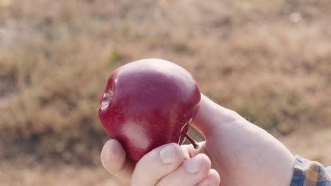 hand holding a red apple