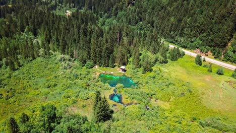 aerial 4k drone footage of zelenci springs