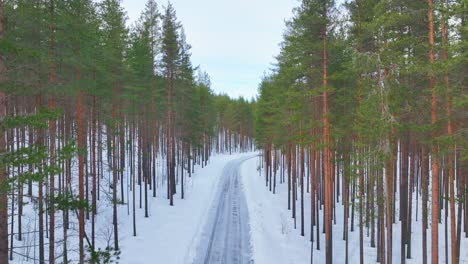 Flying-through-the-forest-and-over-a-tree-covered-in-snow-in-the-winter