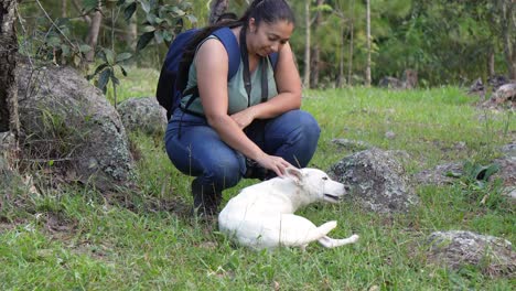 Mujer-Fotógrafa-De-Viajes-Llevando-Una-Mochila-Y-Su-Cámara,-Sentada-En-El-Bosque-Jugando-Con-Un-Perro-Acariciando-Su-Pelaje