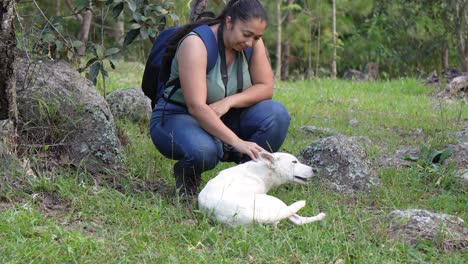 mujer fotógrafa de viajes que lleva una mochila y su cámara, sentada en el bosque jugando con un perro acariciando su pelaje