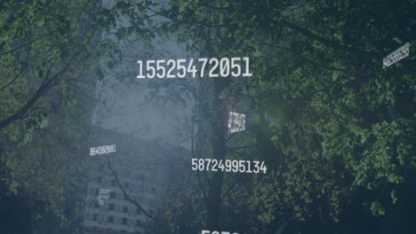 floating numbers animation over trees and building in urban environment