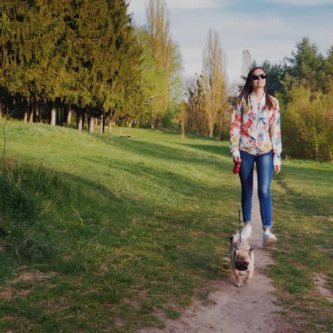 Young-Stylish-Woman-In-Sunglasses-Walking-In-The-Park-With-A-Dog-Of-Pug-Breed-1