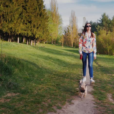 young stylish woman in sunglasses walking in the park with a dog of pug breed 1