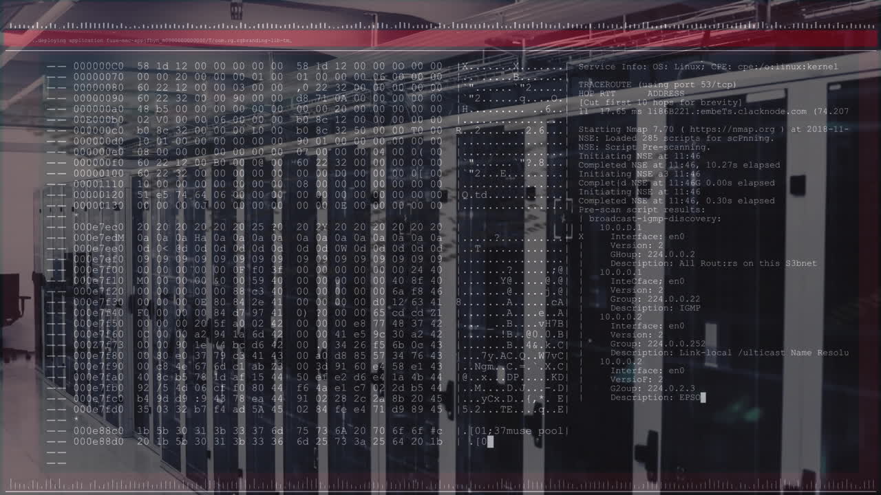 animación del lenguaje informático en la interfaz terminal a través de la sala del servidor de datos