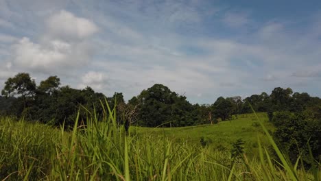 Landscape,-Bluesky,-Moving-Clouds,-People-Nature-Walking-at-a-Distance