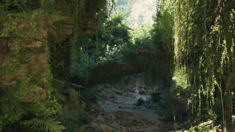 overgrown jungle path with ruins