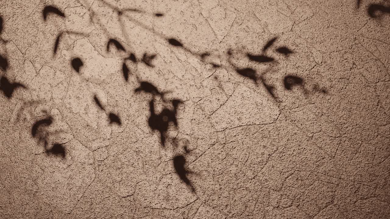 Shadows of Nature on Yellow Textured Surface vertical