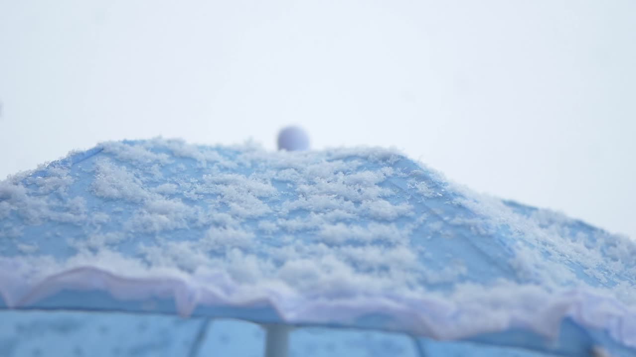 Snow Covered Blue Umbrella