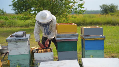 male beekeeper opens honeycells with iron instrument. three beehives on grass in garden. apiary owner works with honey cells.