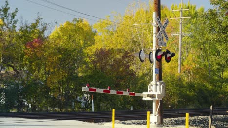 a dynamic clip of a railroad crossing, featuring the crossing arm descending as a train approaches.