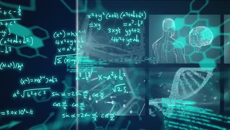 animación de fórmulas matemáticas y procesamiento de datos científicos en pantallas