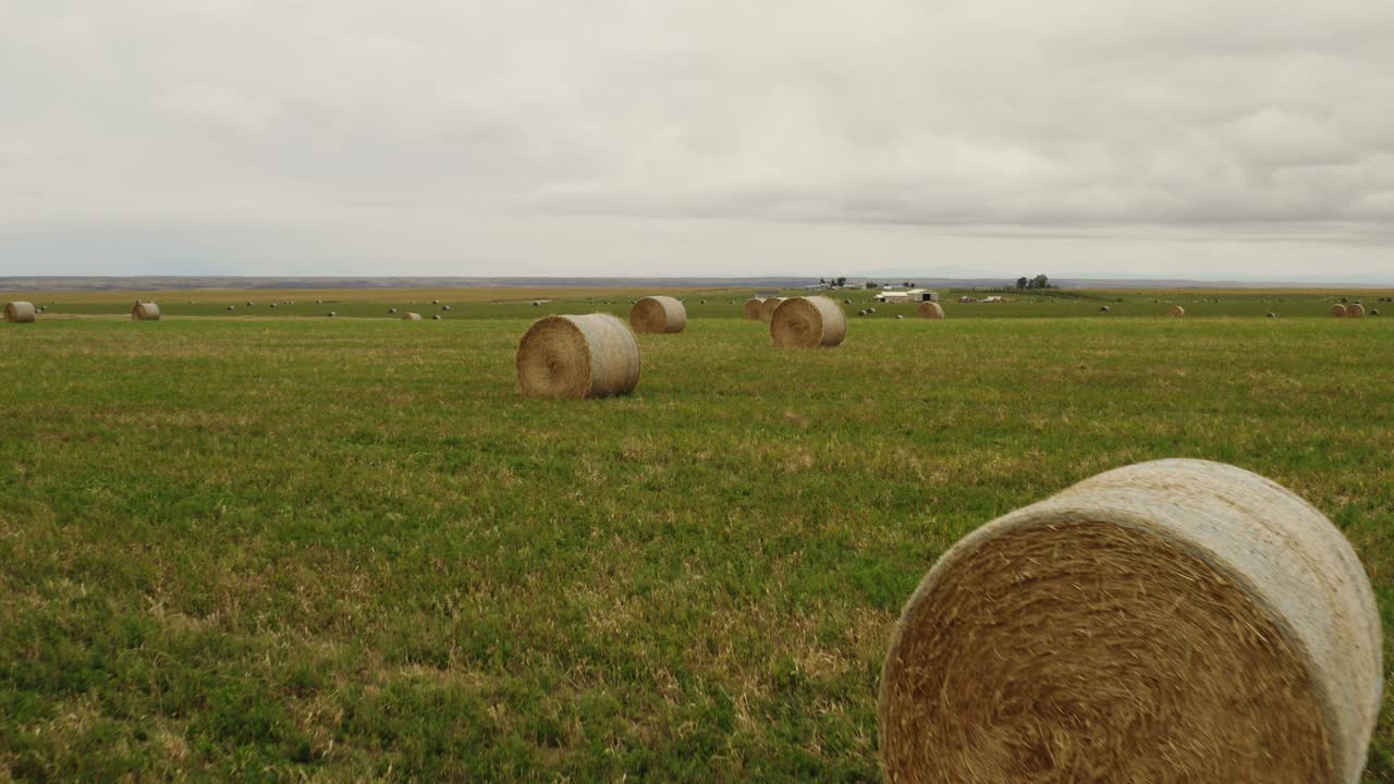 agricultura, granjas, vista aérea de rollos de heno en el campo