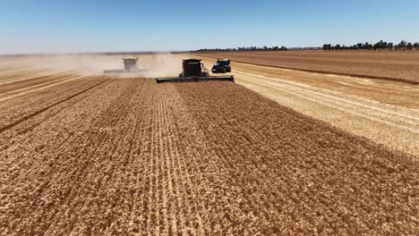 experience the precision and power of a large-scale grain harvesting operation as the fields come alive with activity