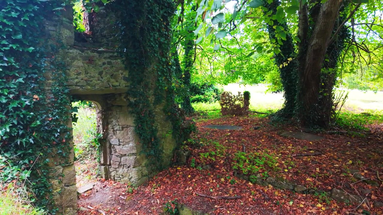 Luoghi epici dell'Irlanda: rovine di un antico castello nel profondo dei boschi, un portale verso il passato in un'Irlanda spettrale d'autunno.